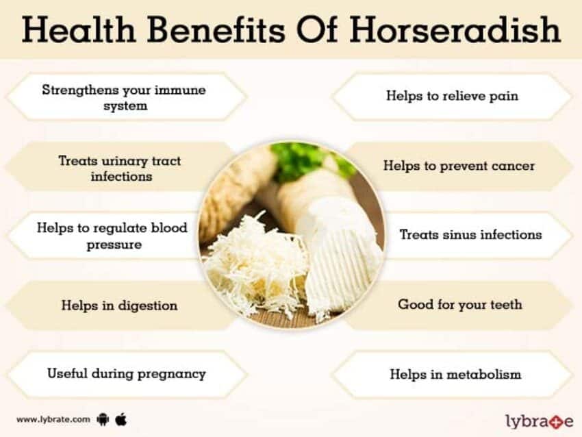 health-benefits-of-horseradish-4424395