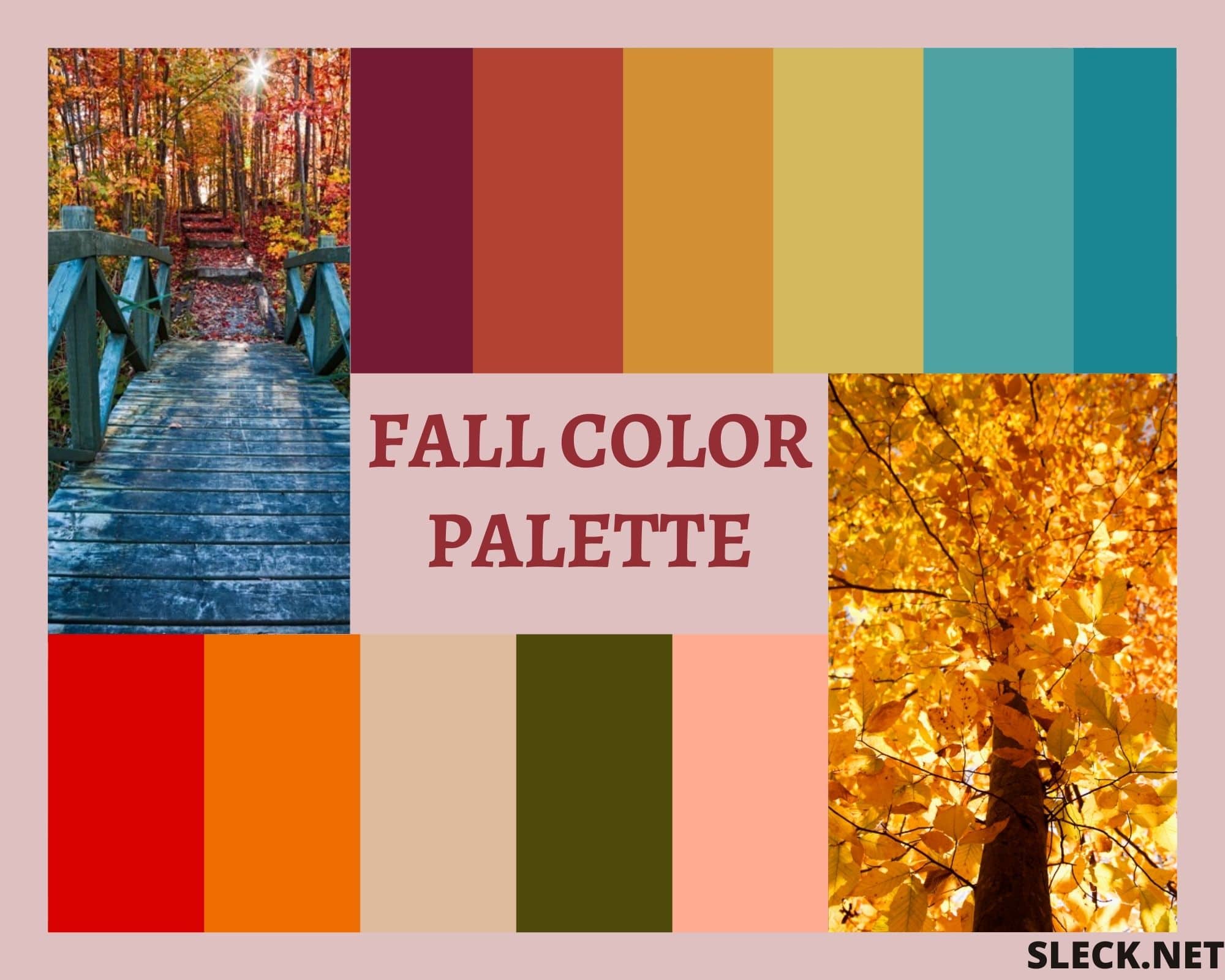 fall-color-palette-1