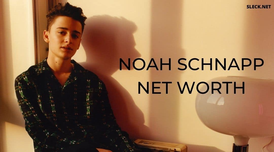 noah schnapp net worth
