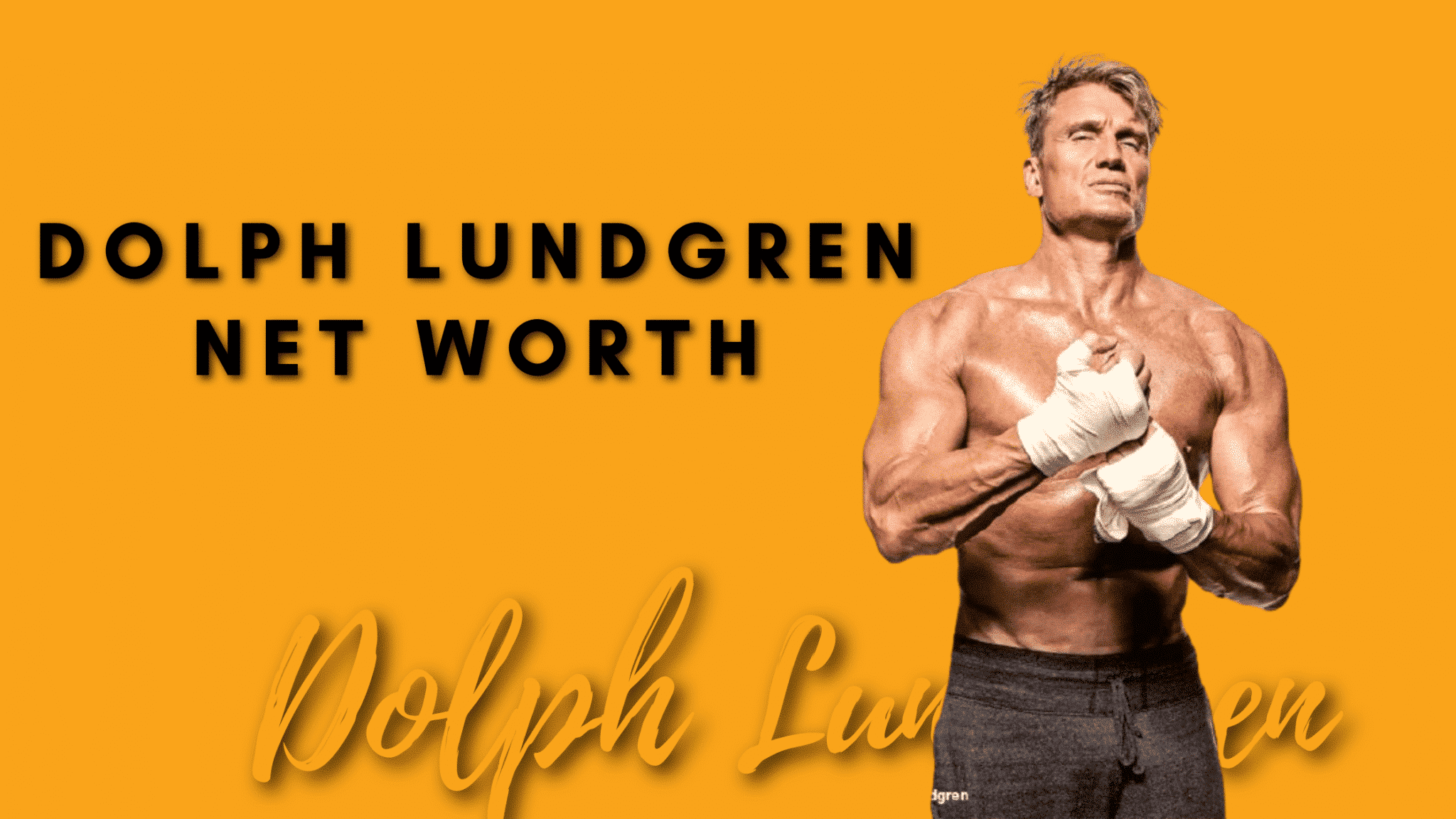 Dolph Lundgren Net worth